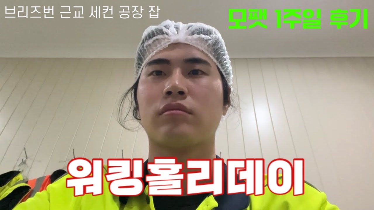 🇦🇺 한국 워홀러가 시골 공장에서 하는 일