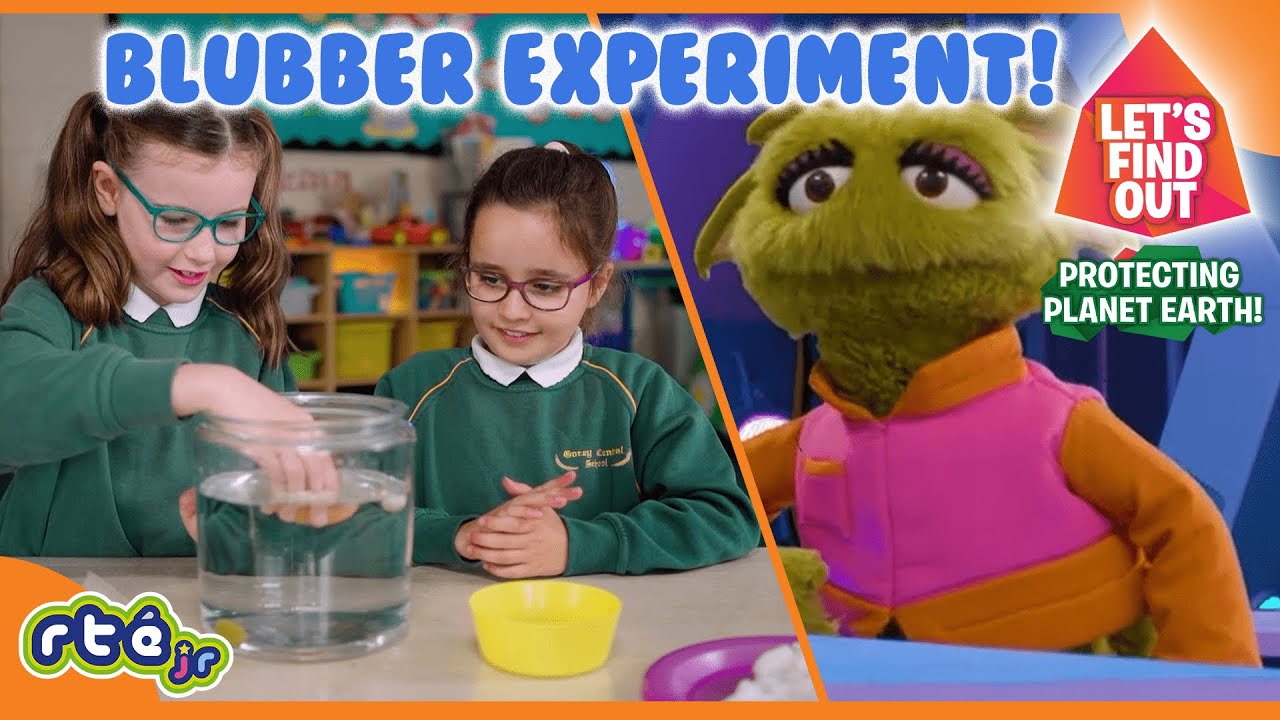 The BLUBBER Science Experiment: How Mammals Float? 🐳💦 | Let's Find Out | RTÉjr