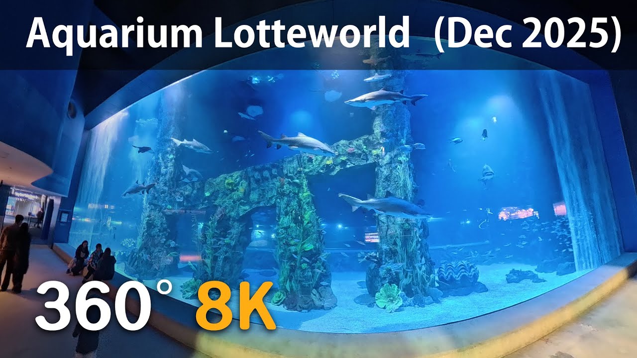 🐟Aquarium Lotte world mall Seoul Dec 2025🐬 | Korea 360° Static | 8K