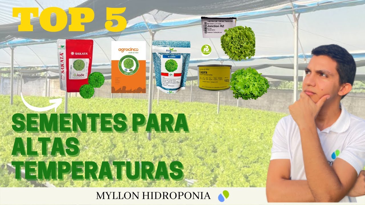 TOP 5 - SEMENTES PARA ALTAS TEMPERATURAS