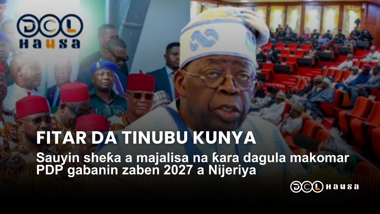 Sauyin sheƙa a majalisa na ƙara dagula makomar PDP gabanin zaben 2027 a Nijeriya