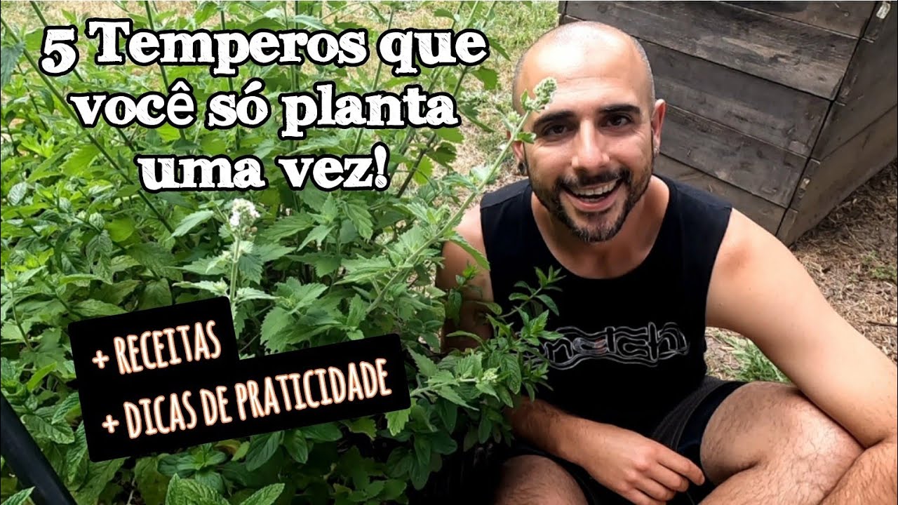 5 TEMPEROS QUE VOC&Ecirc; S&Oacute; PRECISA PLANTAR UMA VEZ
