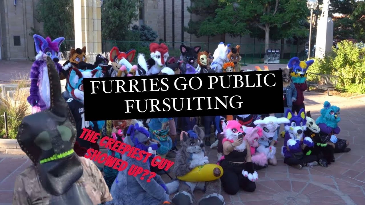 Фурри выходит на публику: фурсьютинг пошёл не так