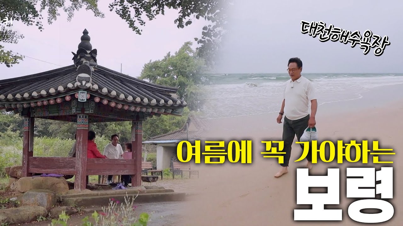 지금은 머드축제 중! 여름 휴가를 알차게 보낼 수 있는 곳, 보령 KBS 220709