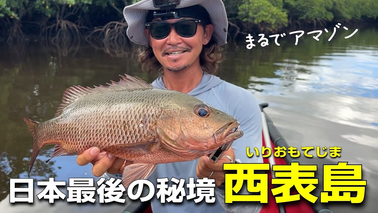 日本最後の秘境西表島でマングローブカヤックフィッシング。ひたすらピンキャストを決めてマングローブジャックを誘い出せ！って…それ僕が一番好きな釣りやん - 2025年9月 西表島釣り遠征 #1