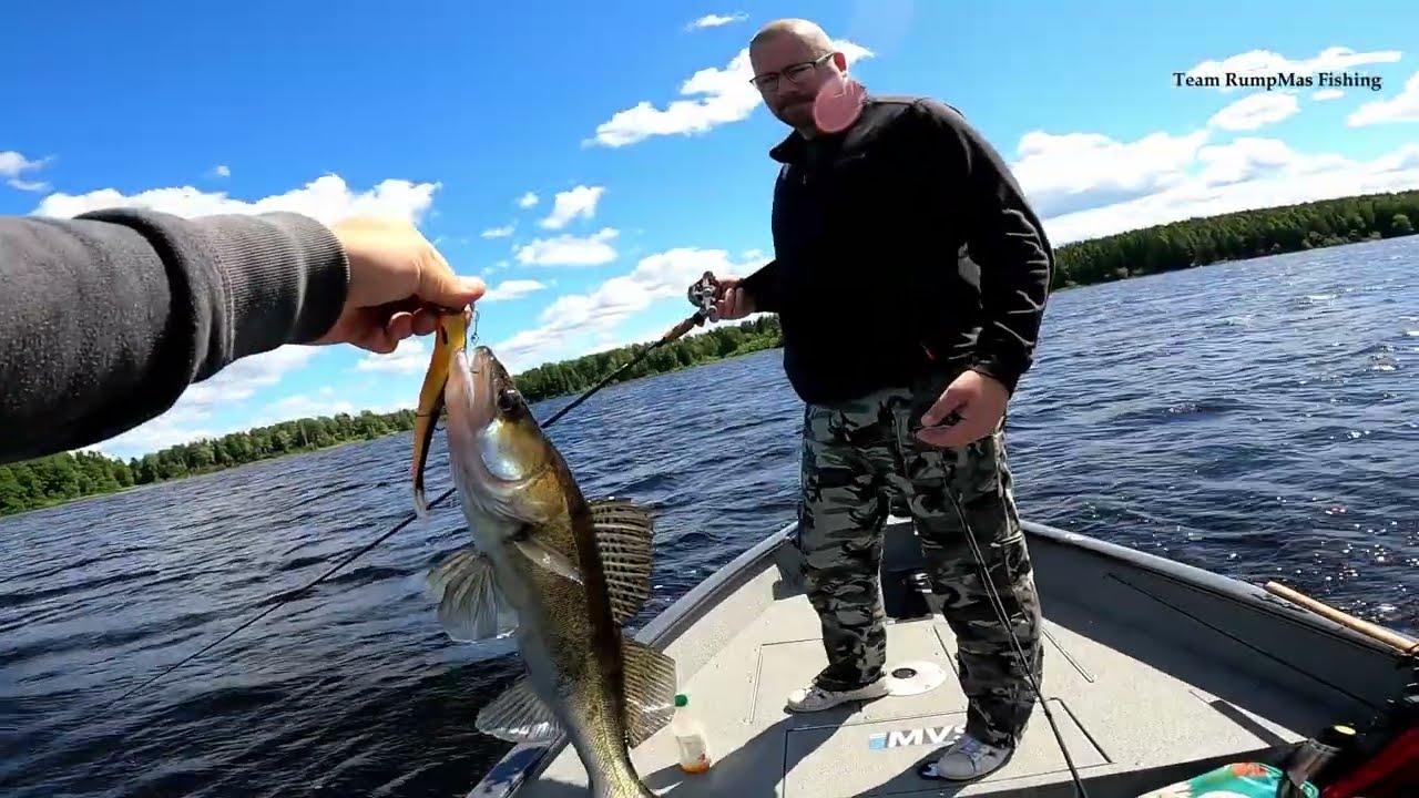 Vertikalt prickskytte gös Mega Live (Team RumpMas Fishing)