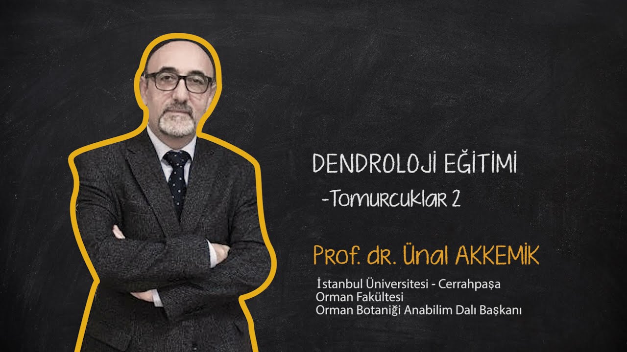 Prof.Dr. Ünal AKKEMİK  '' Ağaçları Nasıl Tanırız