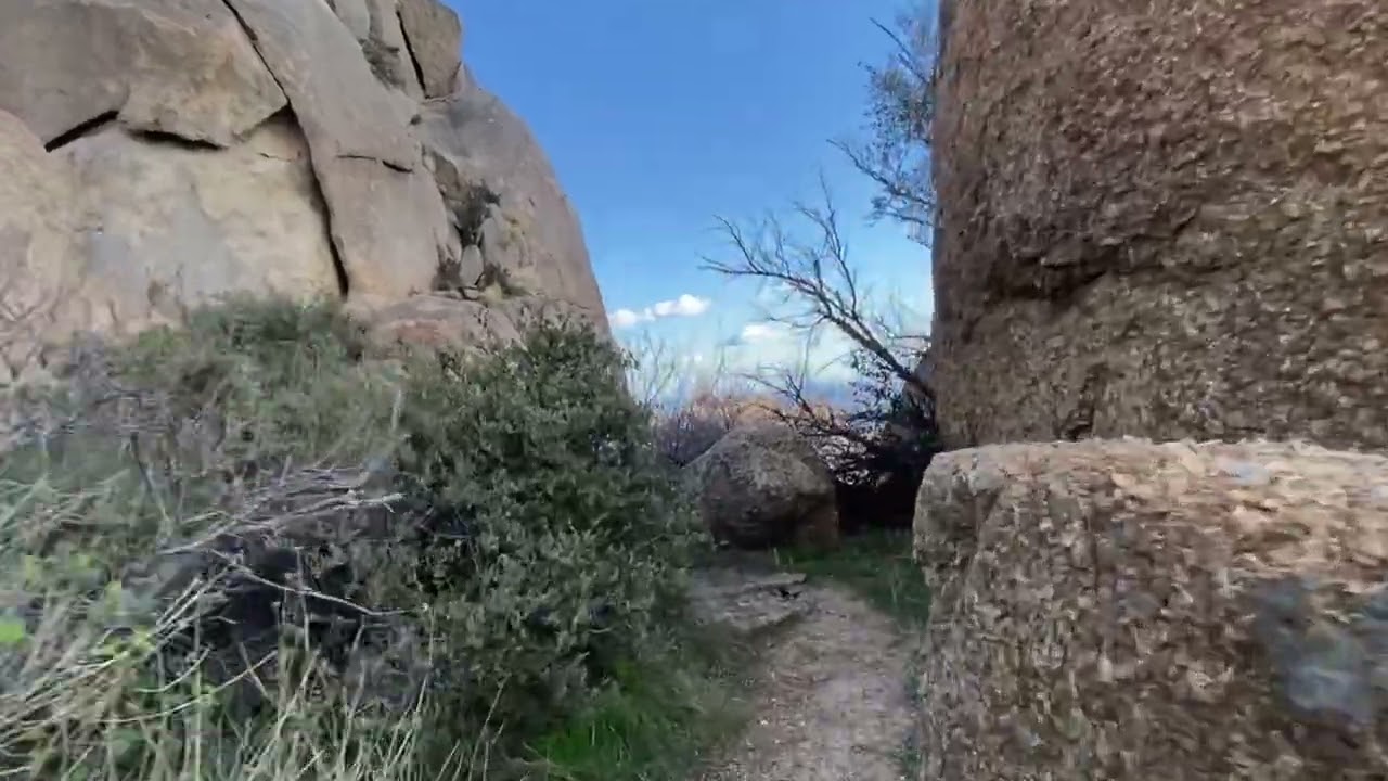 Starting the weekend off with a hike in the McDowell Mountains, Arizona.