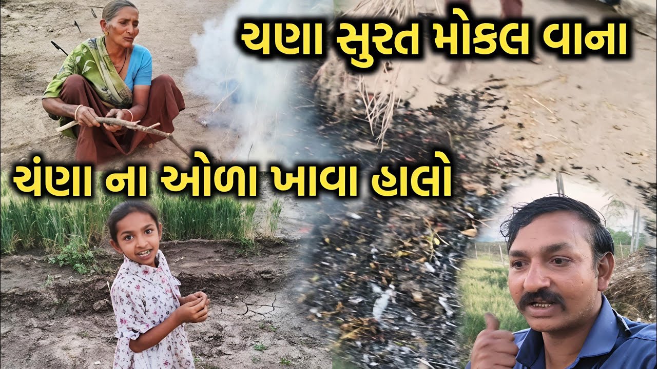 ચંણા સુરત મોકલ વાના 🤔🤔|#સુરત  #ચંણા #dailyvlog #gujarativlog #gujarati  #mansukhrsolankivlogs 