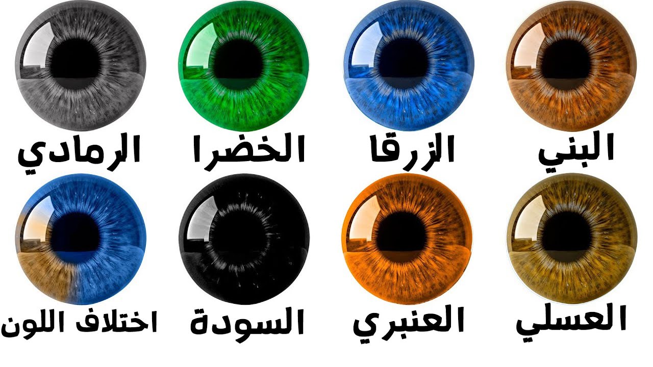 مزايا خفية لكل لون عين | لون العين يؤثر على شخصيتك وقدراتك