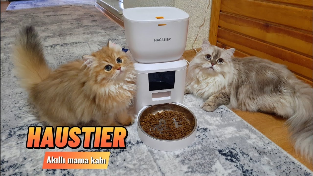 Haustier QQ023 Akıllı mama kabı