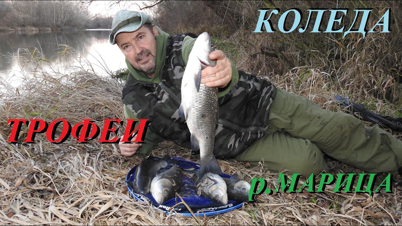 Трофейни кефали по Коледа