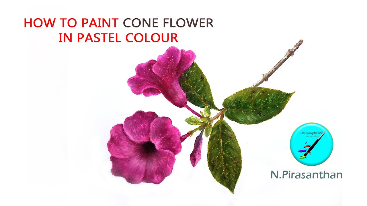 HOW TO PAINT CONE FLOWER   IN PASTEL COLOUR