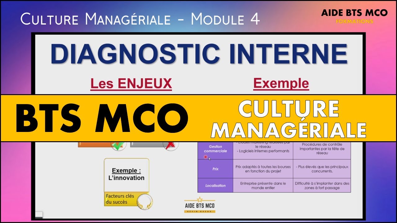 AIDE BTS MCO | Réaliser le diagnostic interne d'une entreprise | CULTURE MANAGERIALE BTS