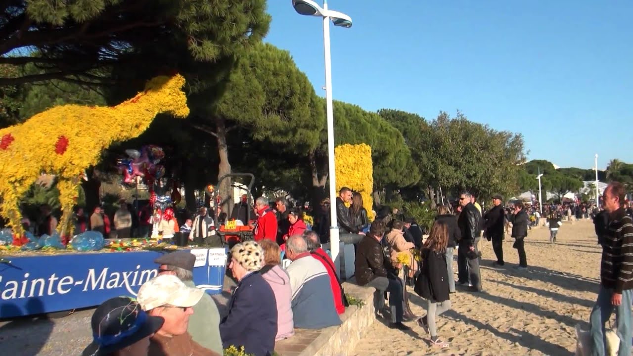 Sainte-Maxime - Côte d'Azur - Golfe de St-Tropez, Mimosenfest in Ste-Maxime