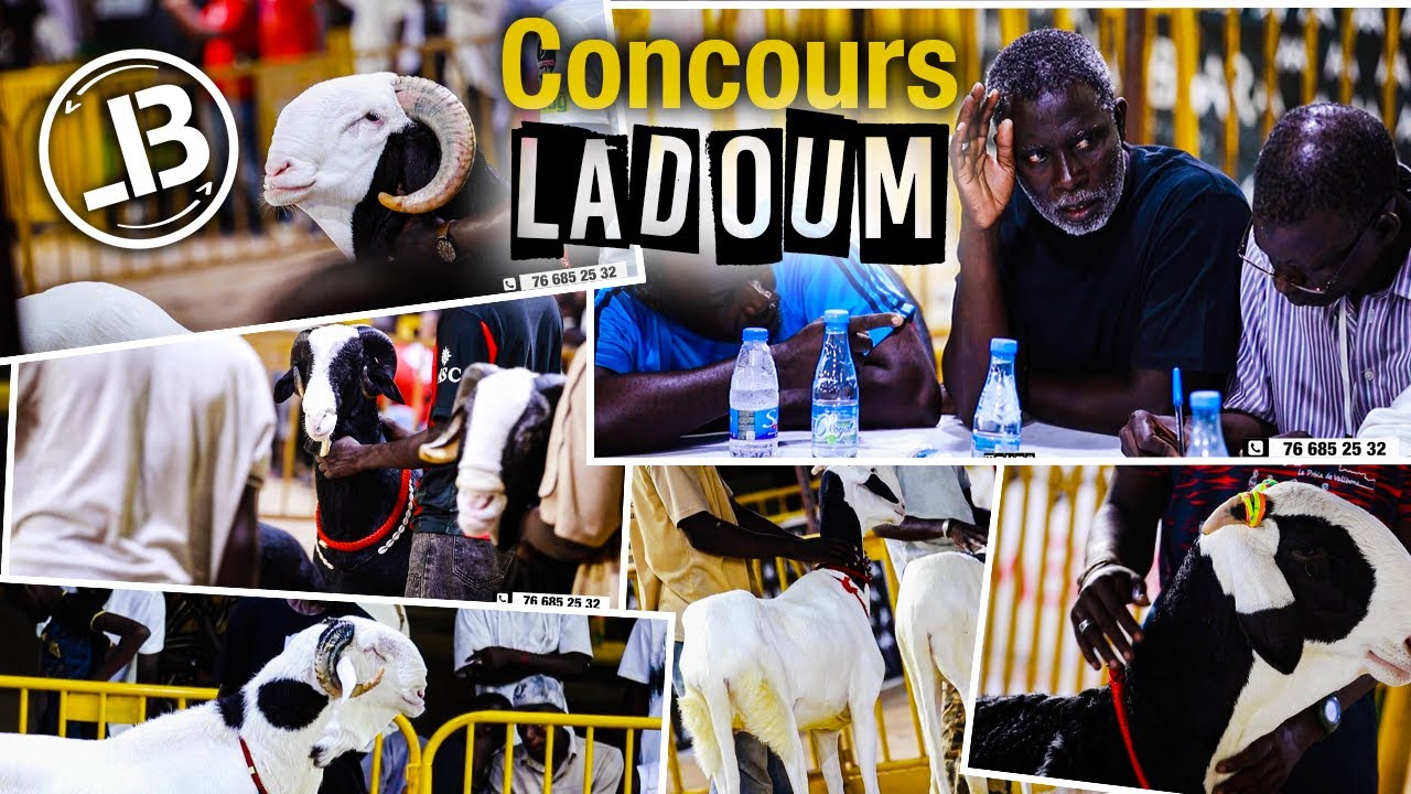 Instant Concours Ladoum Foire ADEPE Eleveurs des Parcelles