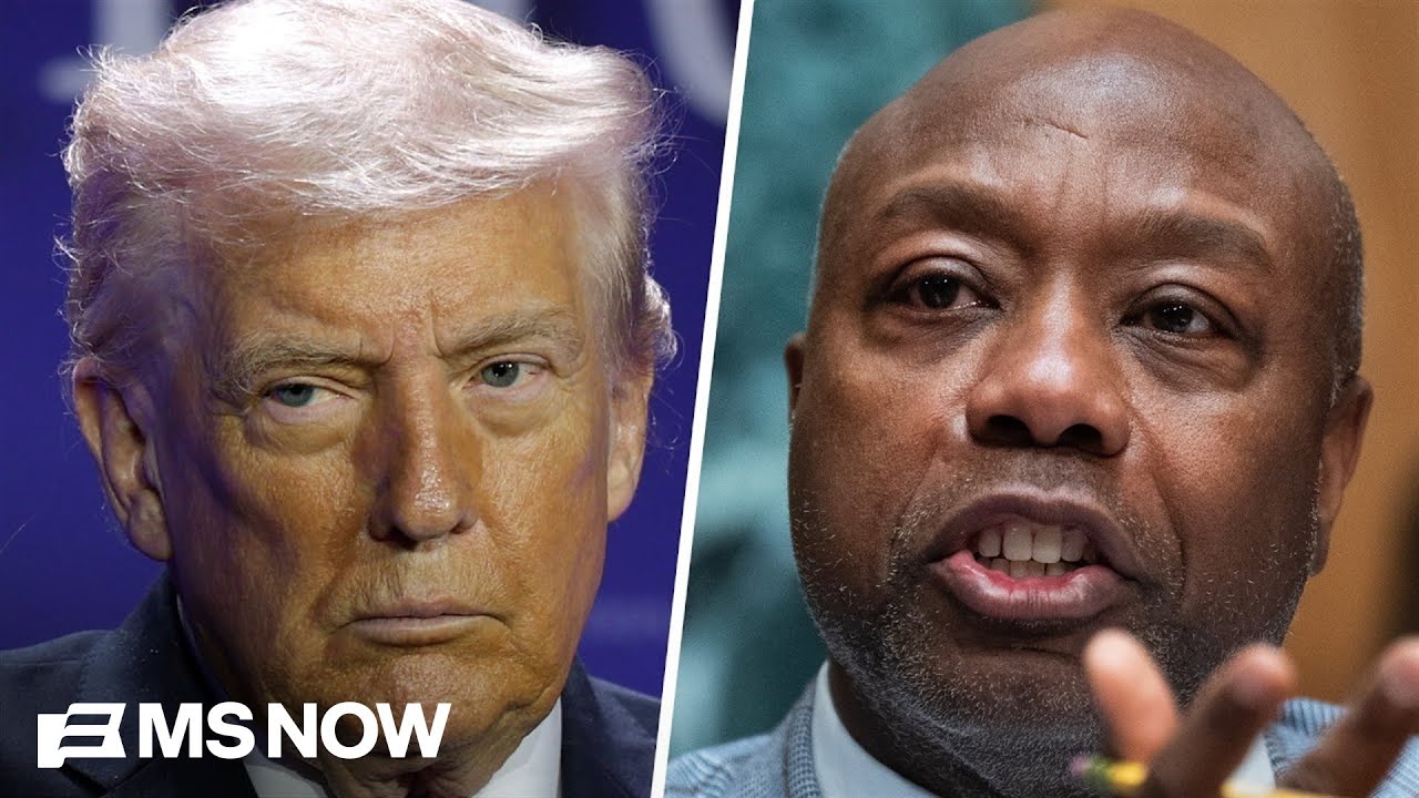 'About time they get a backbone': Reaction to GOP lawmakers criticizing Trump's racist post