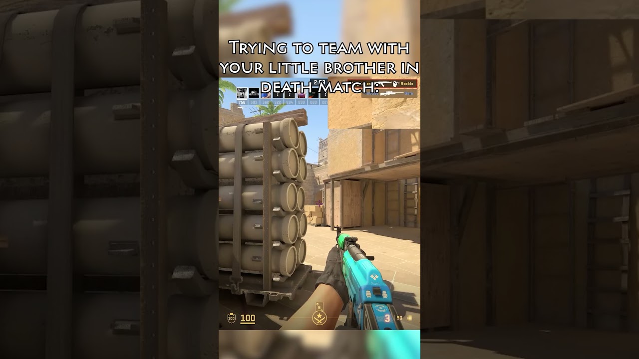 Trying to team with your little brother while playing Counter Strike Death Match