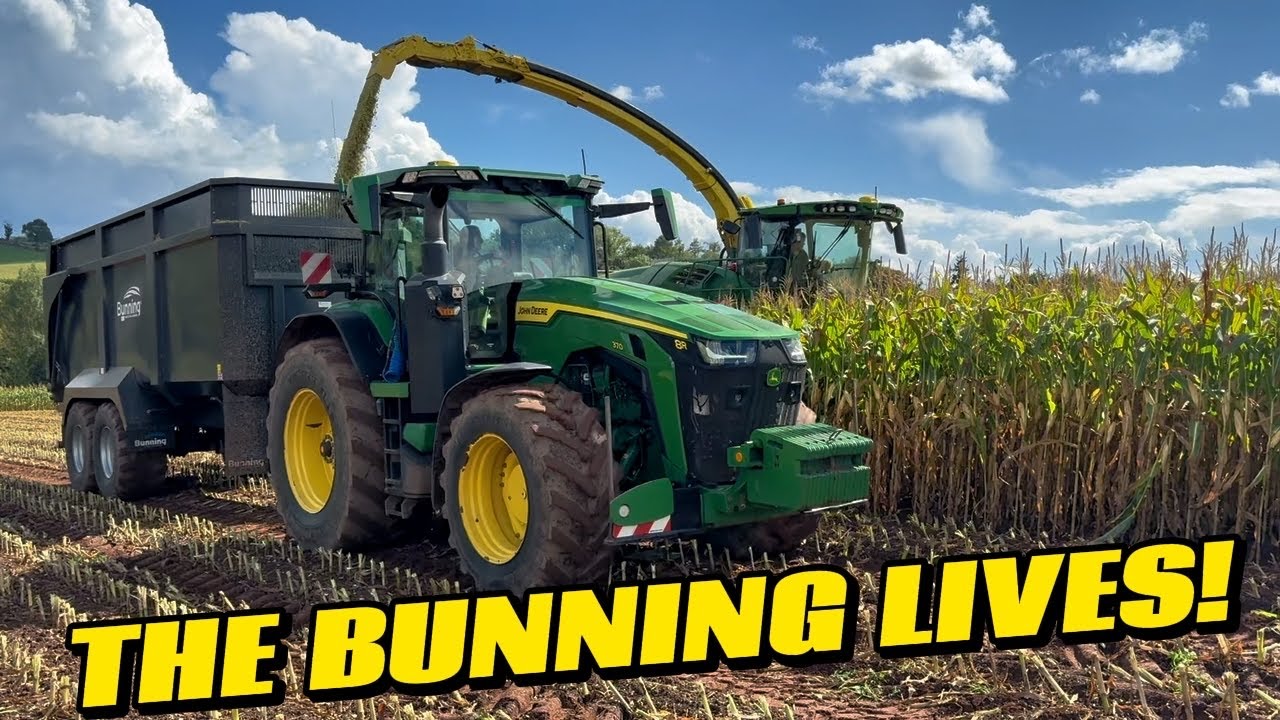 A BIG DAY ON MAIZE, THE BUNNING TRAILER RETURNS TO ACTION AND THE AUCTION ENDS! 