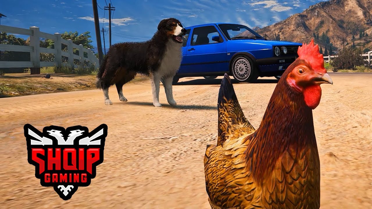 GTA 5 SHQIP - Kopshti zoologjik (Pula, Qeni, Gorilla etj.) !! - SHQIPGaming