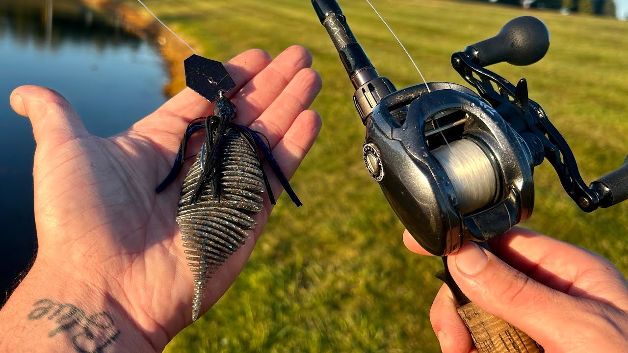 Urban Pond Fishing! Bellows Gill 3.8 And Chatterbait