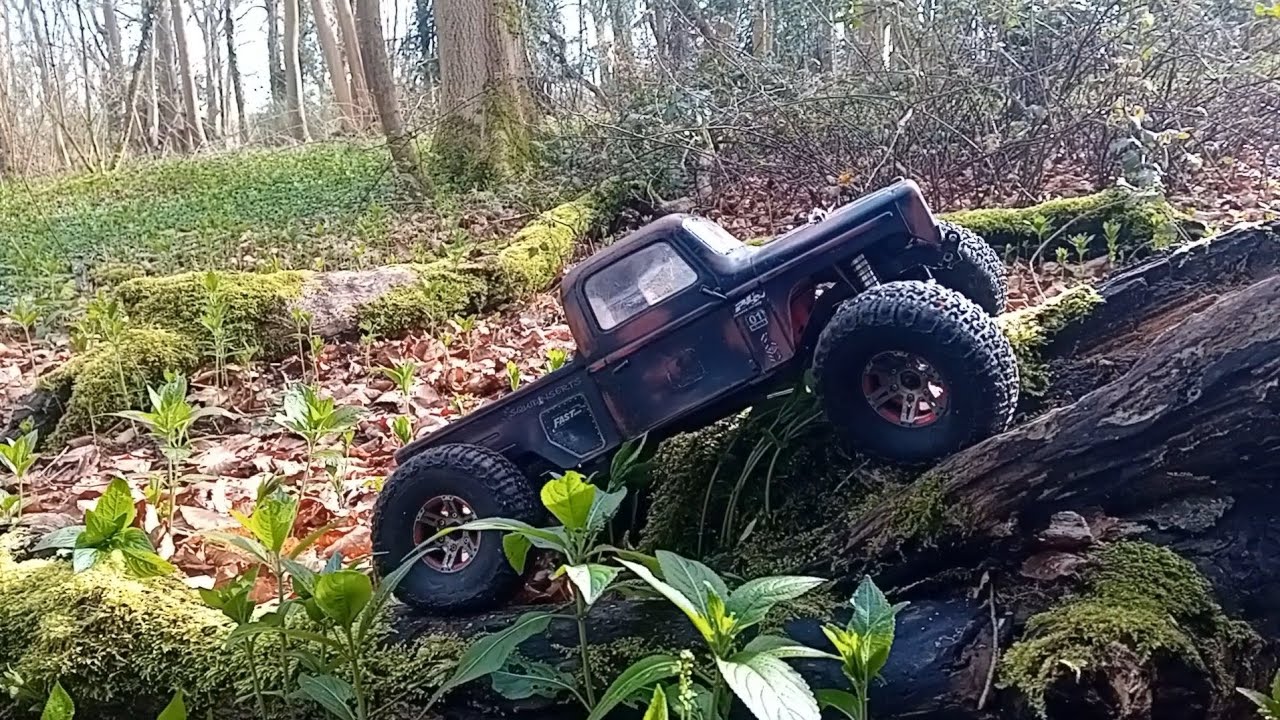 Went for a crawl before the rain 