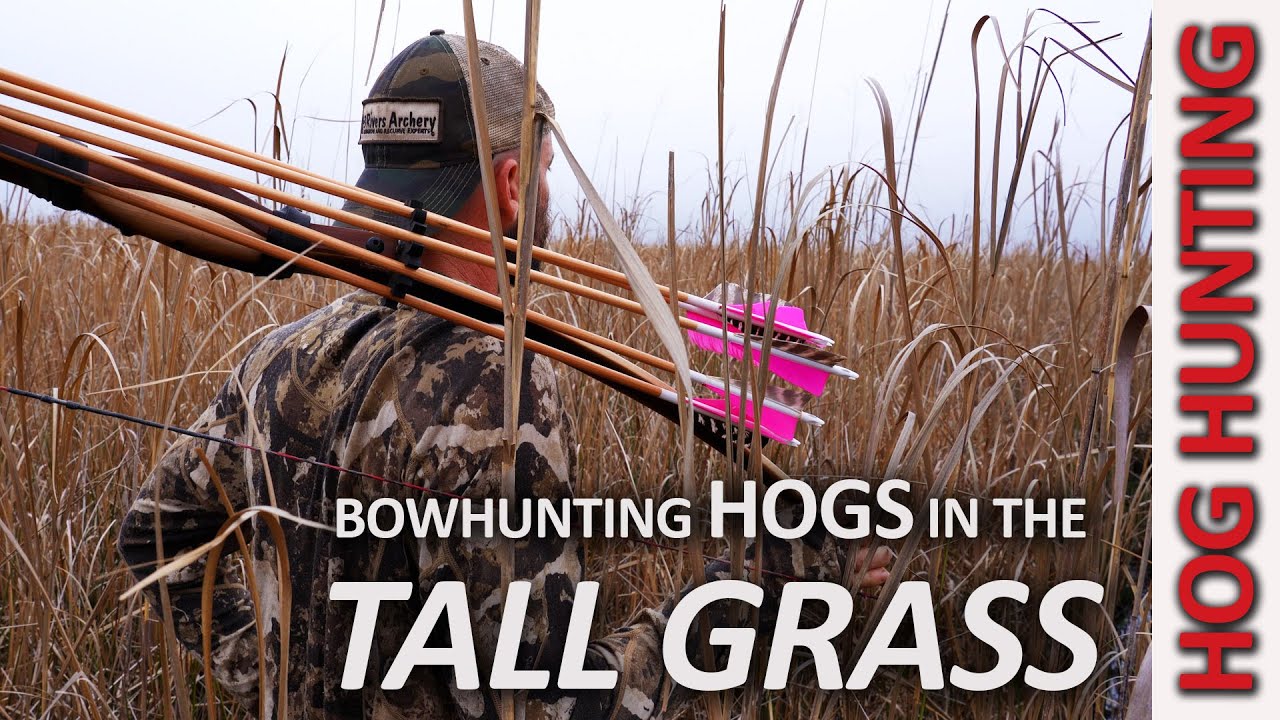 Traditional Bow Hunting Hogs - Marsh Madness Pt 1