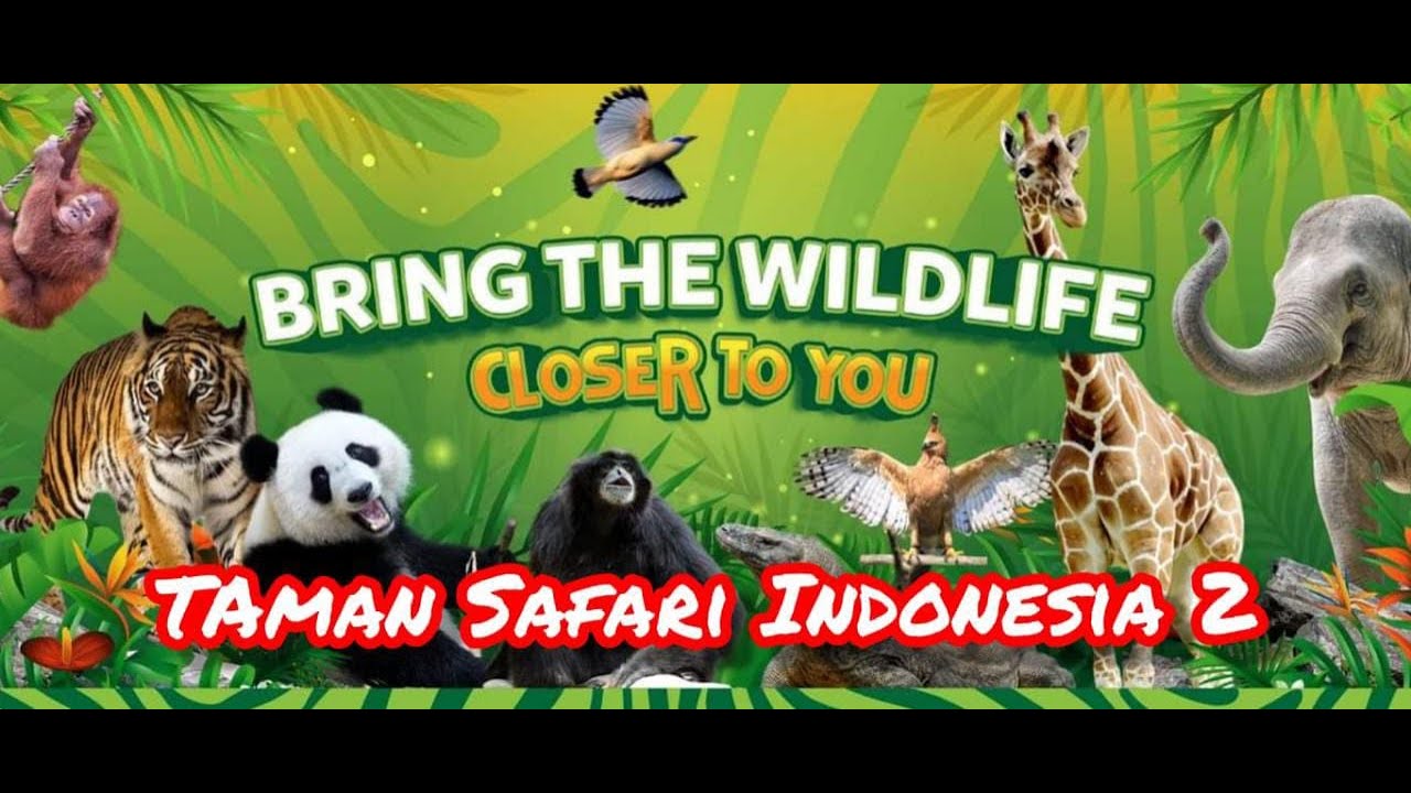 Wonderfull Taman Safari Indonesia 2 di Prigen, Pasuruan 👍💖