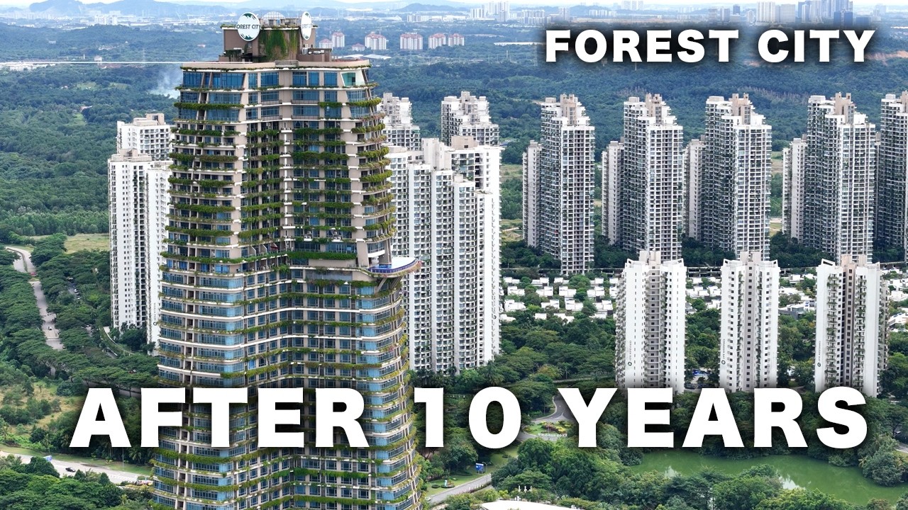 Forest City After 10 Years: What's Changed?