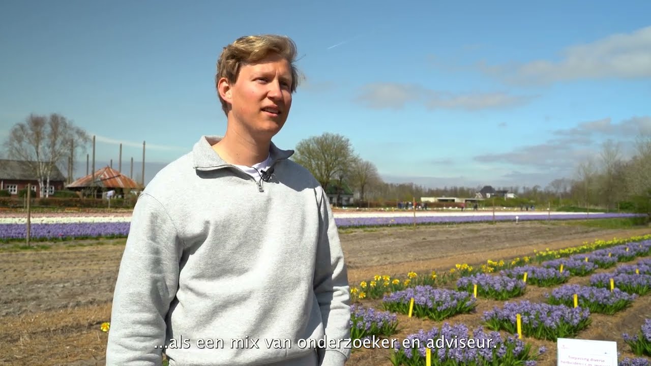 Werken Bij Delphy als adviseur Bloembollen