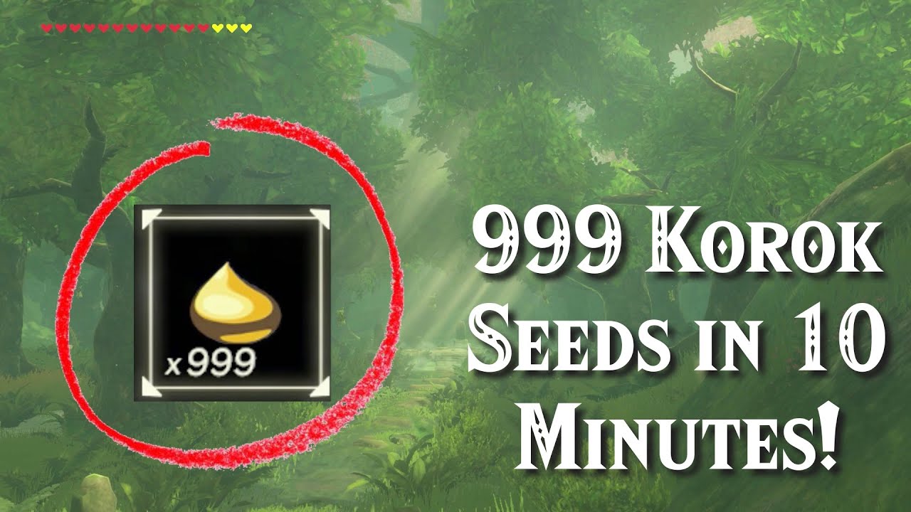 Get 999 Korok Seeds in Under 10 Minutes in Zelda Breath of the Wild!