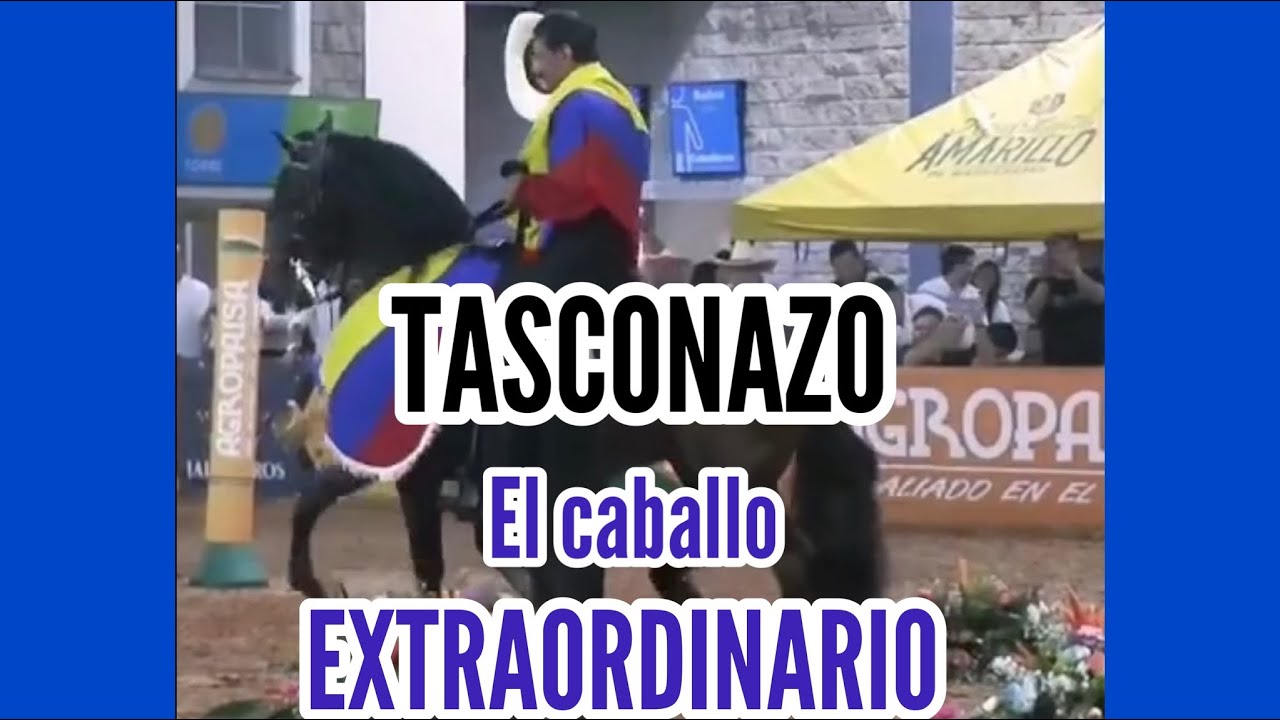 TASCONAZO el caballo revelación