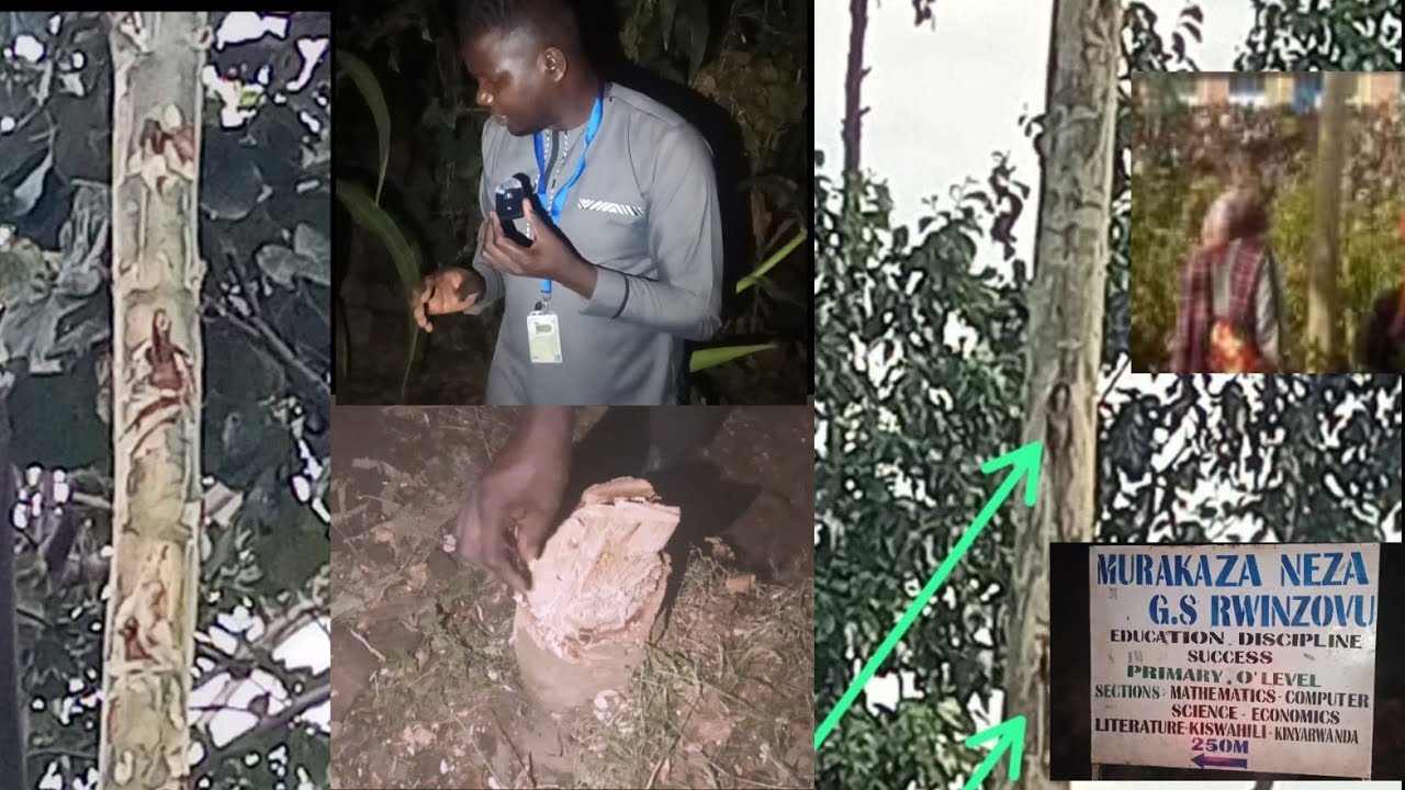 IBITANGAZA NTIBIRARANGIRA🙆Ngezeyo, barimbuye ipoto ya Bikiramaliya yimukira ku giti, nacyo baragitem