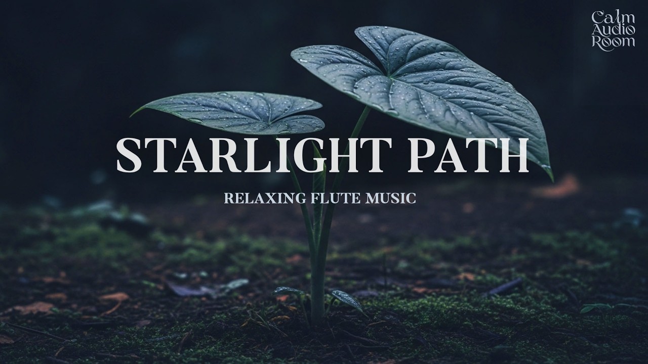 Beautiful Flute Harmony for Quiet Nights, Soft Breathing, and Deep Relaxation 😴🌙