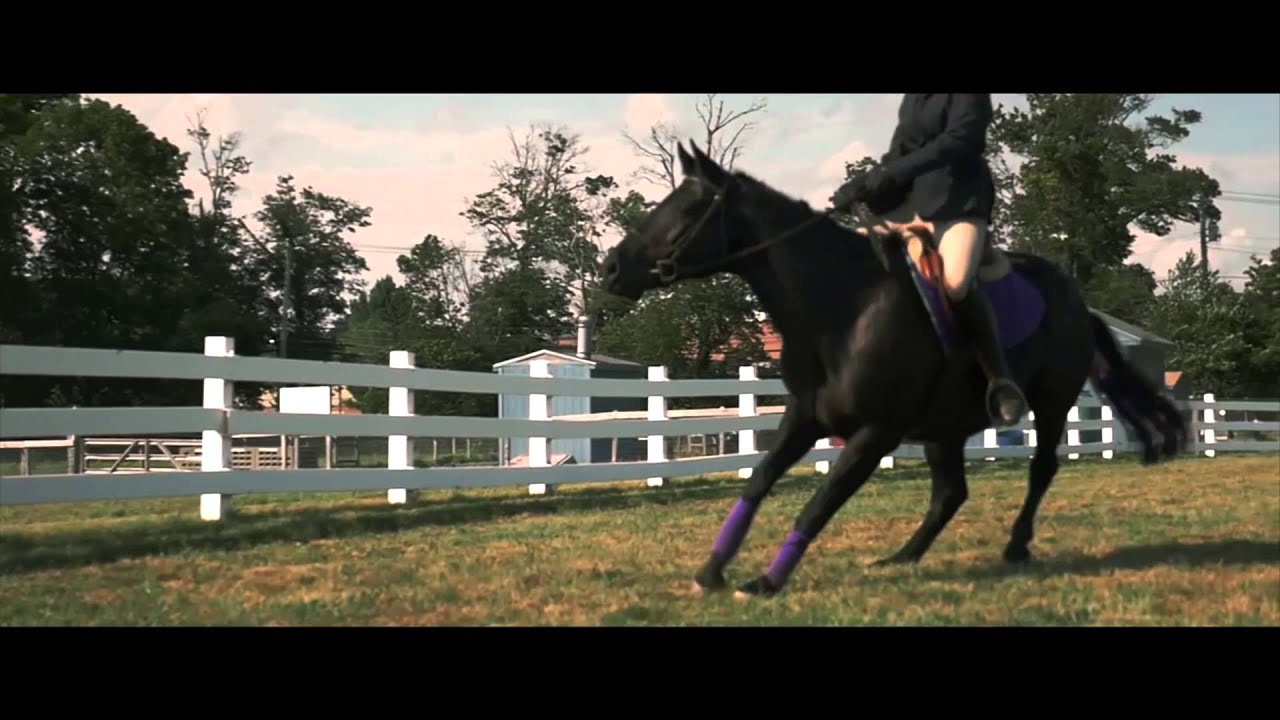 BLACK BEAUTY - Official International Trailer