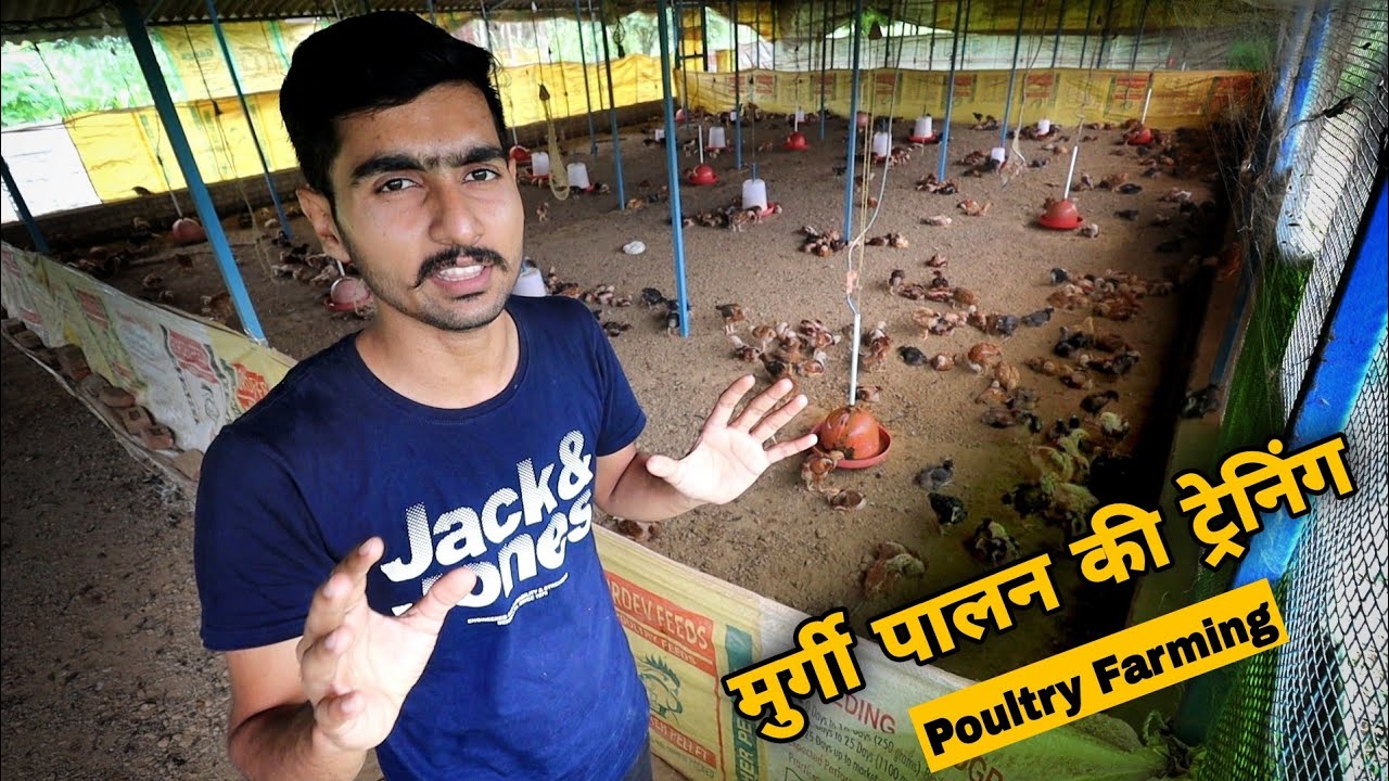 Poultry Farming Training