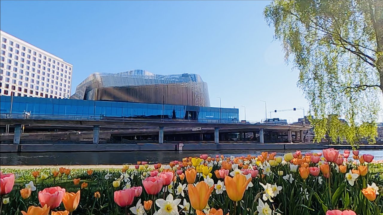 Stockholm, Kungsholmen in Middle of  May: Tulips and Trees in  Blooming, New Leaves