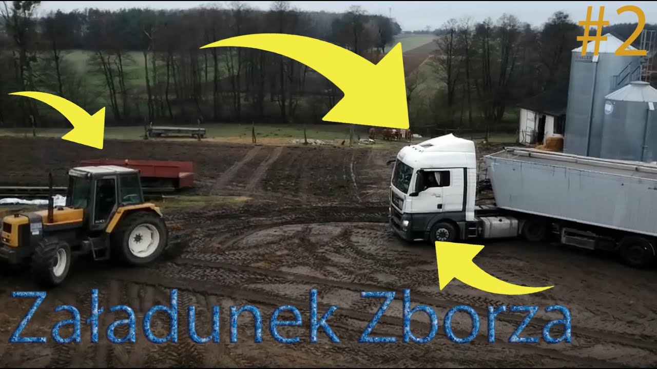 Załadunek zboża na tira☆Ciąganie tira w błocie Renault 155.54☆