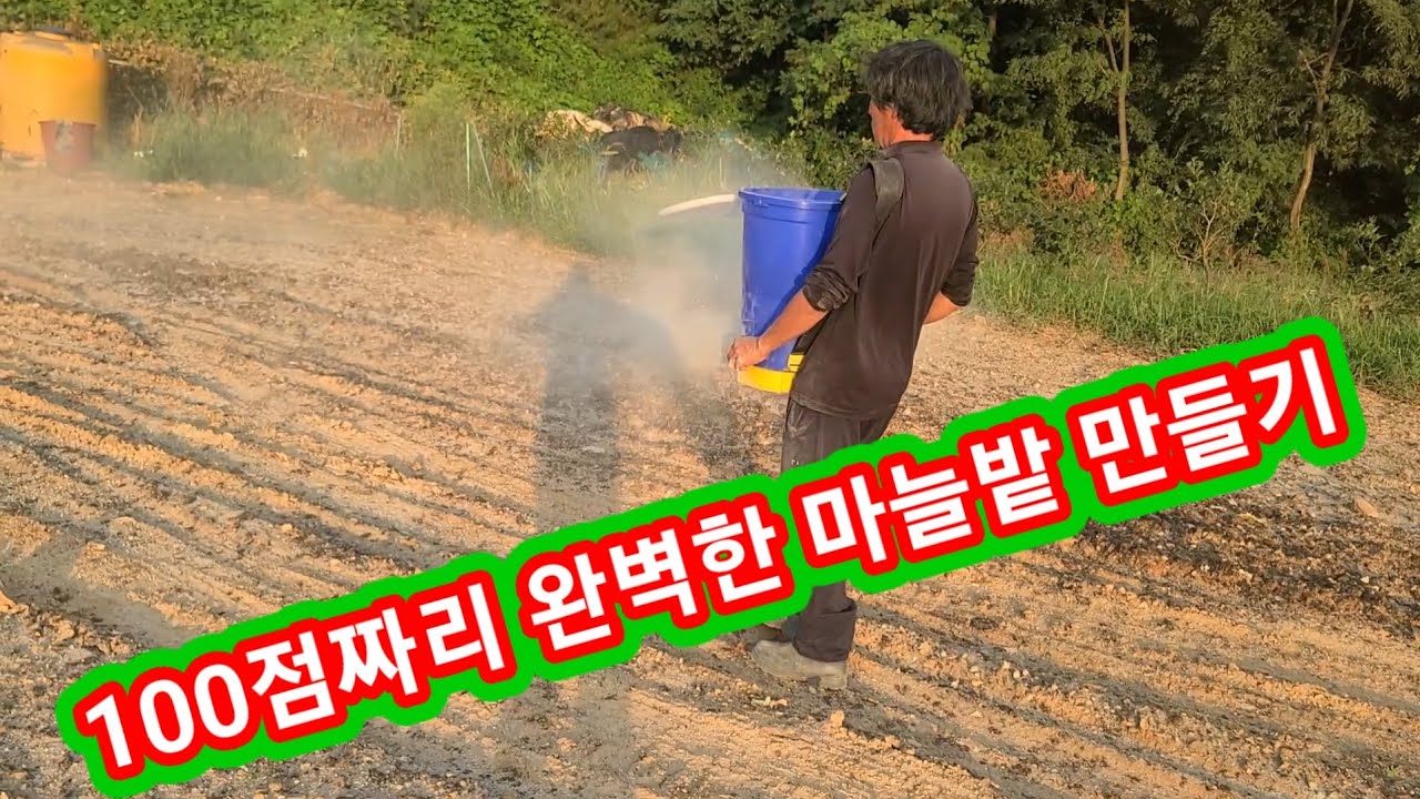 100점짜리 완벽한 마늘밭 만들기