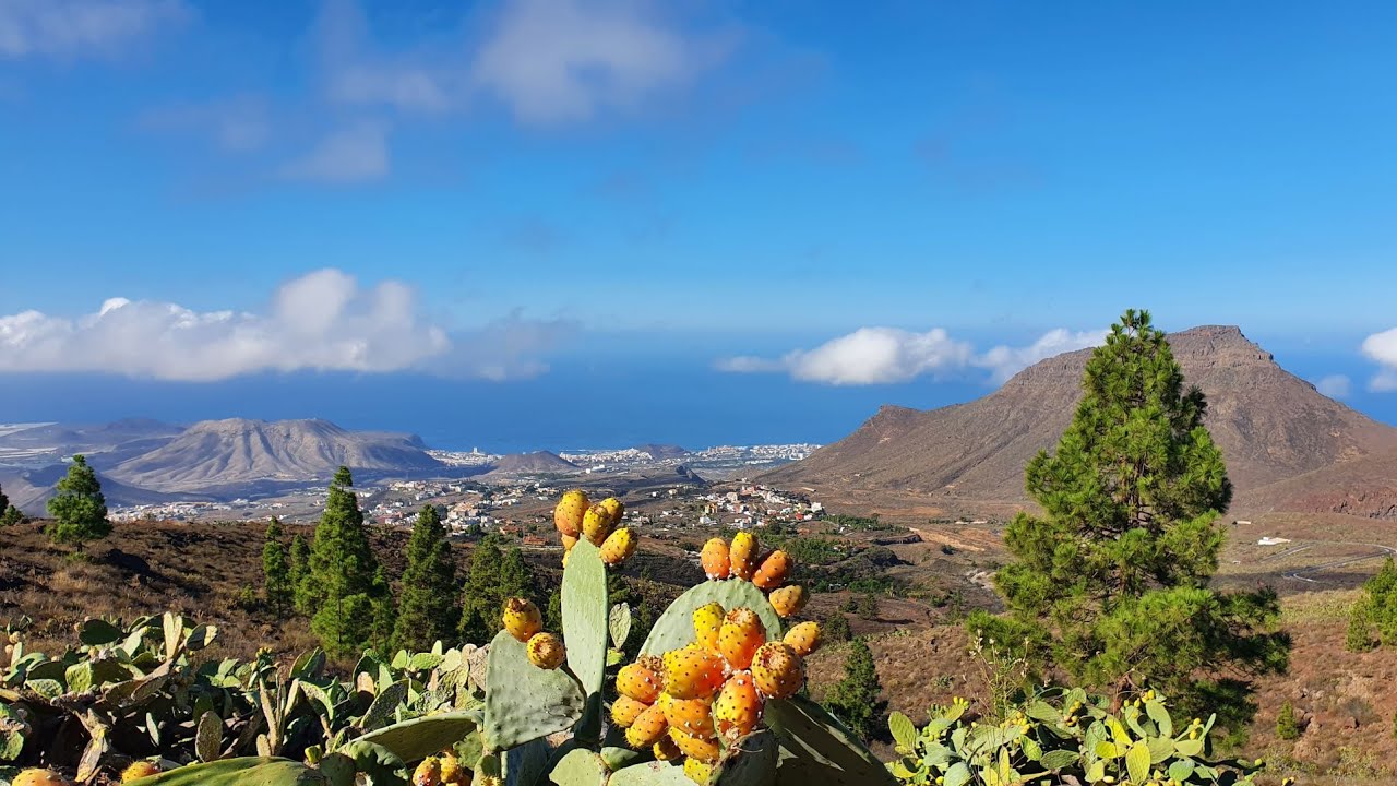Familienurlaub auf Teneriffa in Costa Adeje