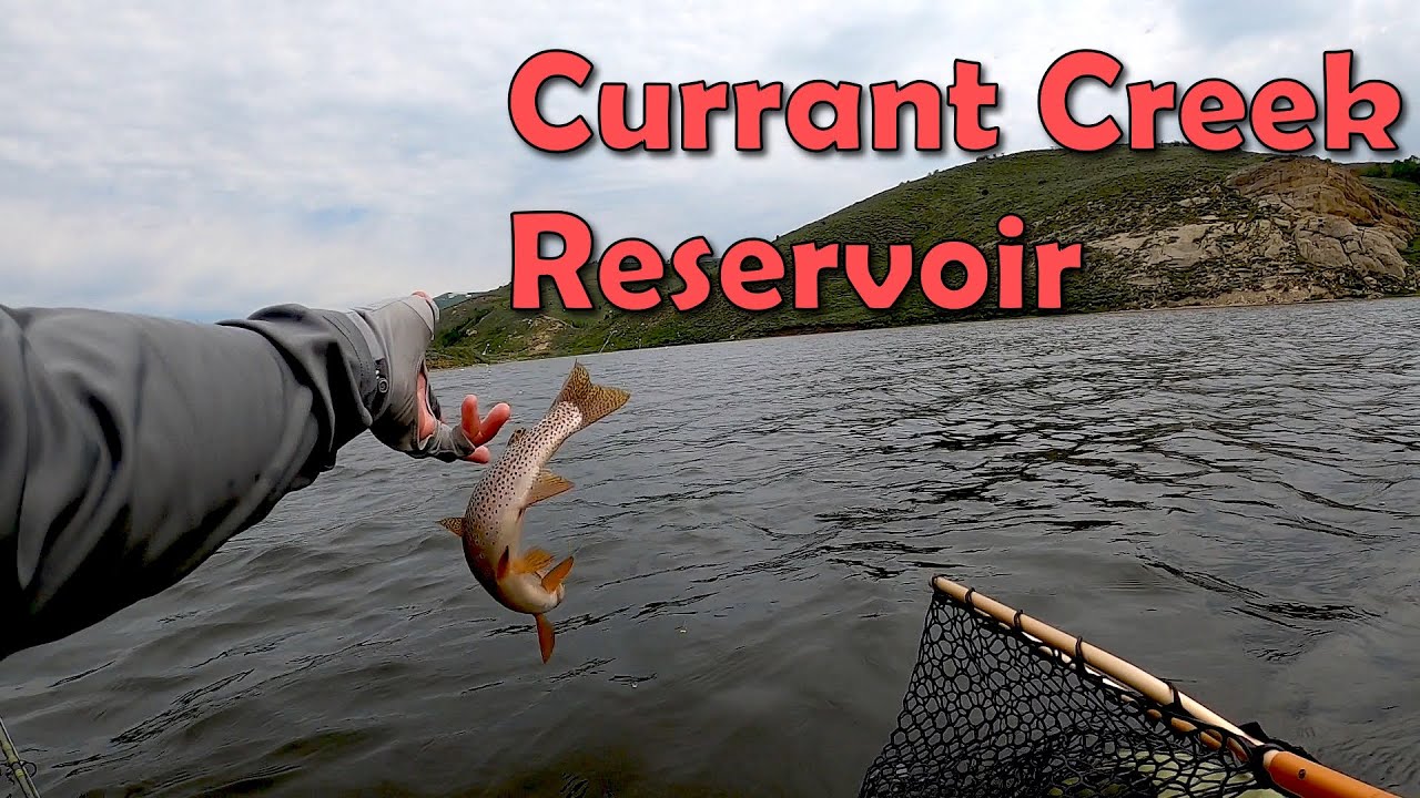 Hot Bite on Currant Creek Reservoir - Fly Fishing a Washing Line