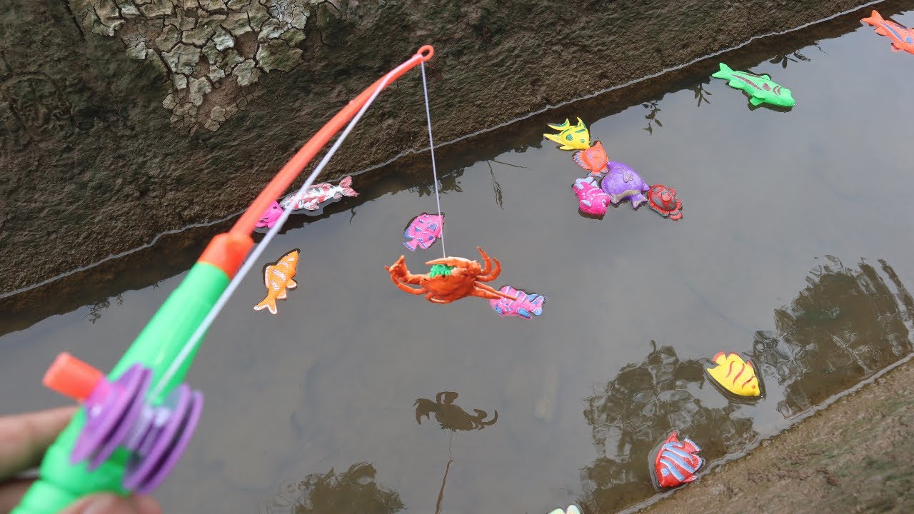 Memancing Hiu dan Hewan Laut di Irigasi, ikan badut, ikan malaikat, ikan laut, Ikan Lucu, Kepiting
