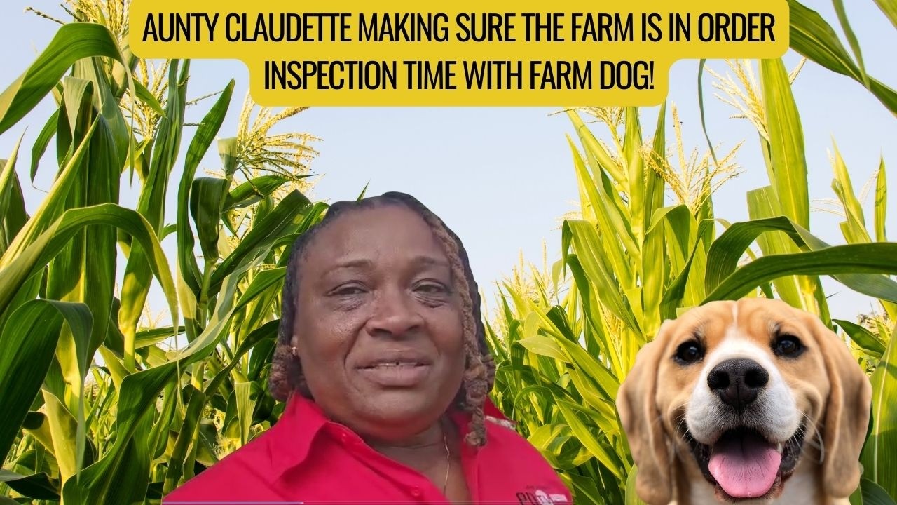 Farm Inspection With Aunty Claudette! Nothing Escapes Her Eyes