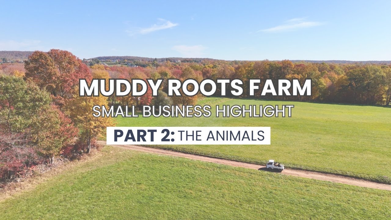 Muddy Roots Farm (Part 2: The Animals) Small Business Highlight