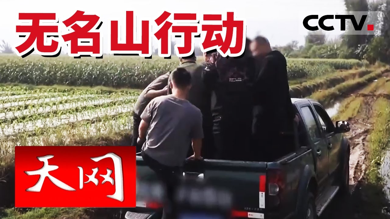 《天网》男子没有正当职业却长期进行奢侈消费 民警一查不得了 20230428 | CCTV社会与法