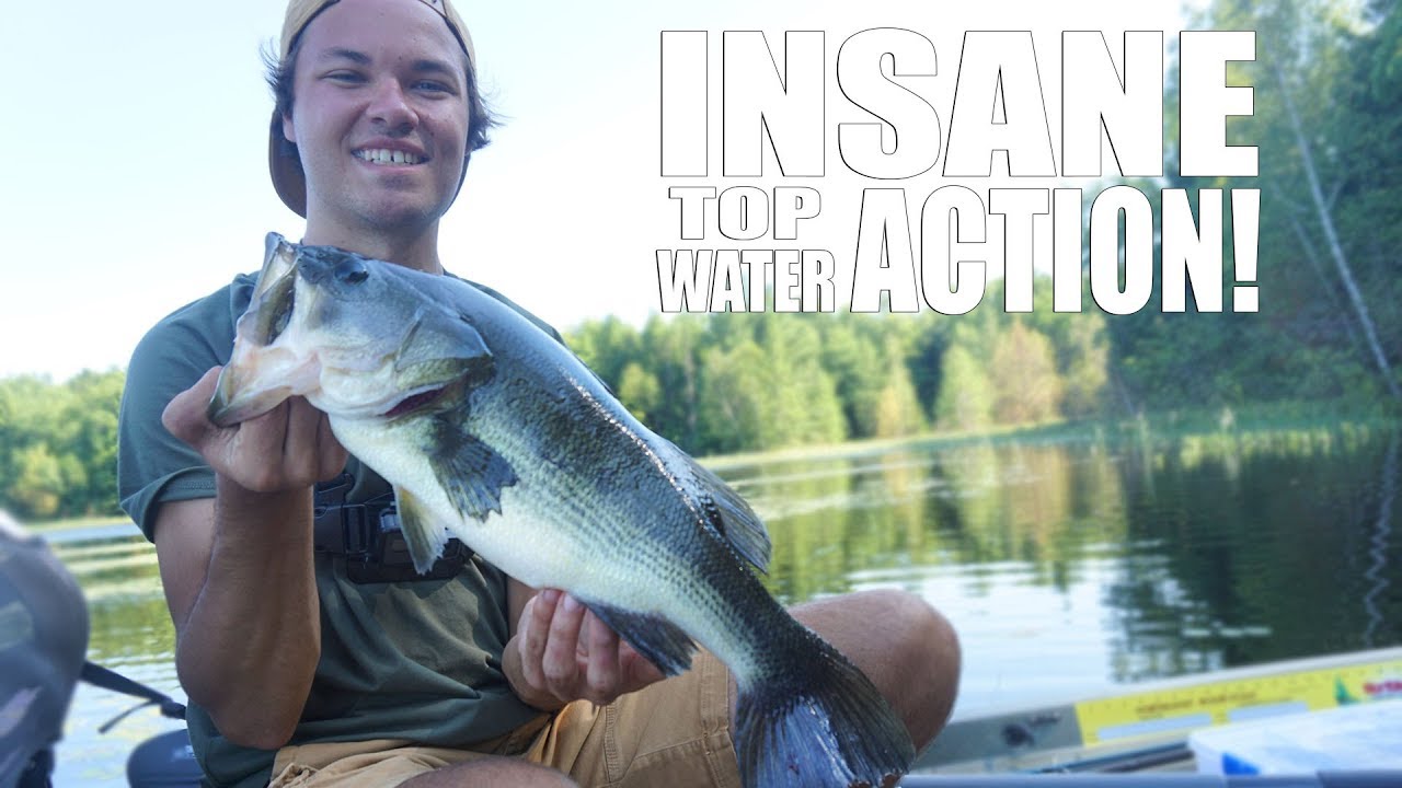 INSANE Top Water Bass Fishing!