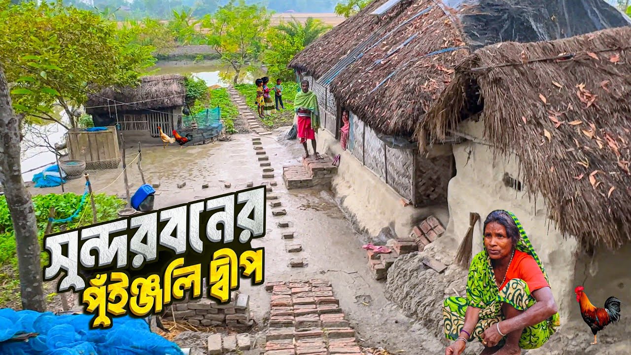 ঘরের পাশেই কুমির রোদ পোহায় | পুঁইঞ্জলী দ্বীপের জীবন | Life of Puinjani Island | Sundarban Vlog