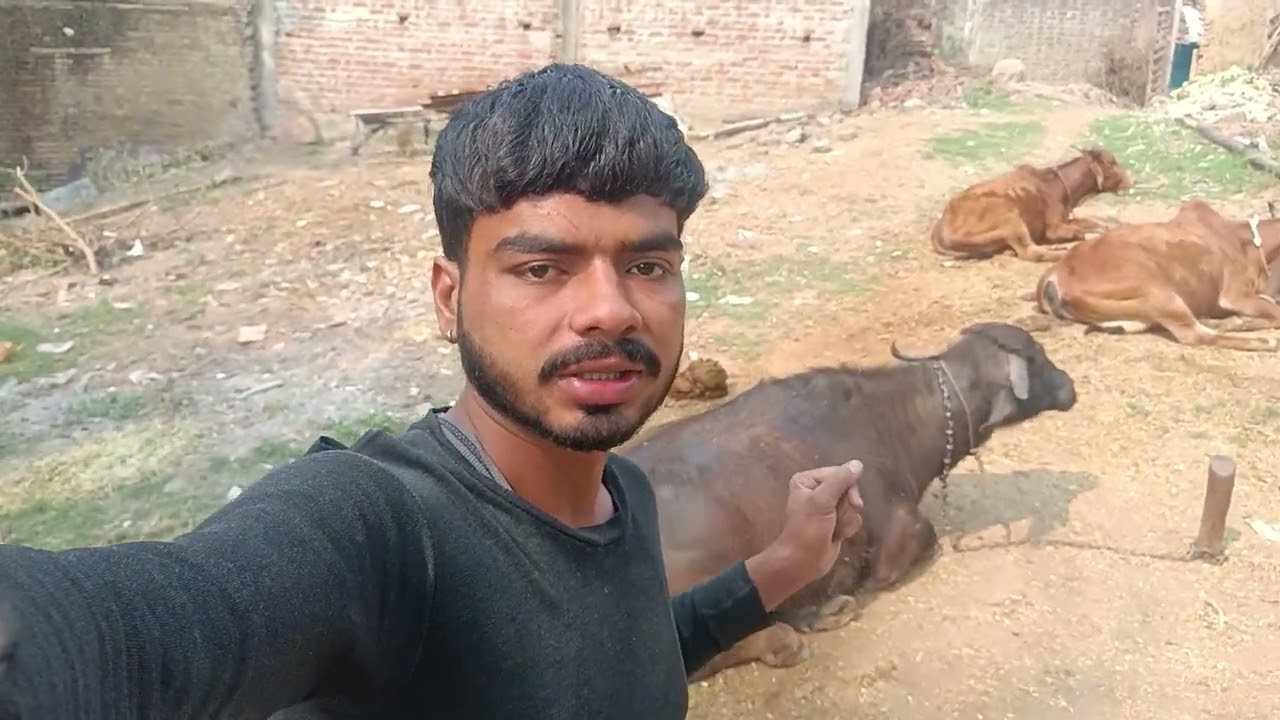 आज फिर एक नए ब्लॉक में आपका स्वागत है ❤️‼️#video #viral #vlog #video 