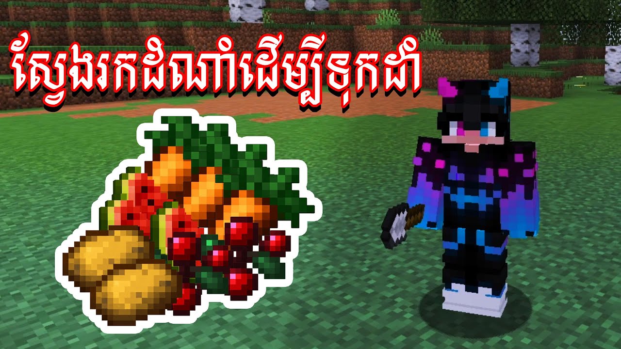 ស្វែងរកអីវ៉ានដំណាំដើម្បីយកមកដាំដុះនៅក្នុងMinecraft 🍉🥕🥔🥬🥰