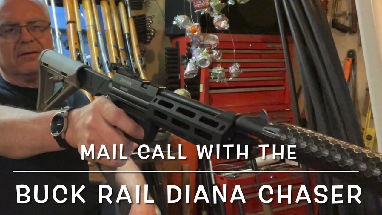 Mail call with a very special Diana Chaser  22 carbine conversion from Buck Rail & parts for my 38T